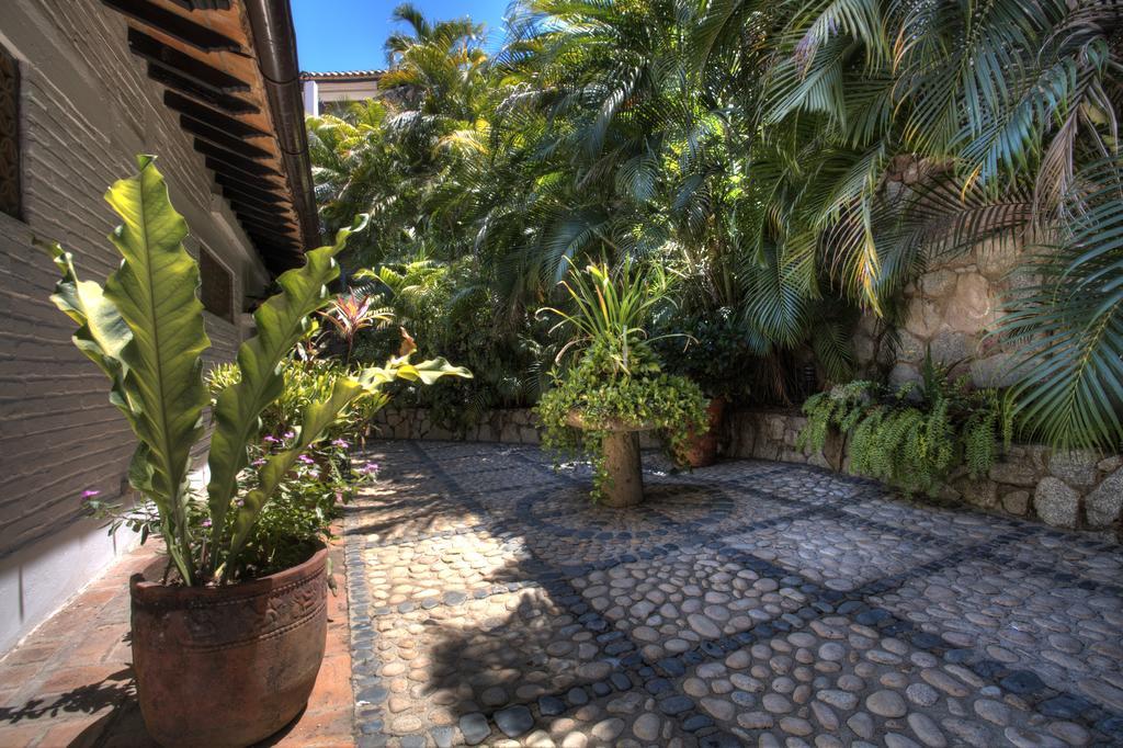 Villa Celeste Puerto Vallarta Extérieur photo
